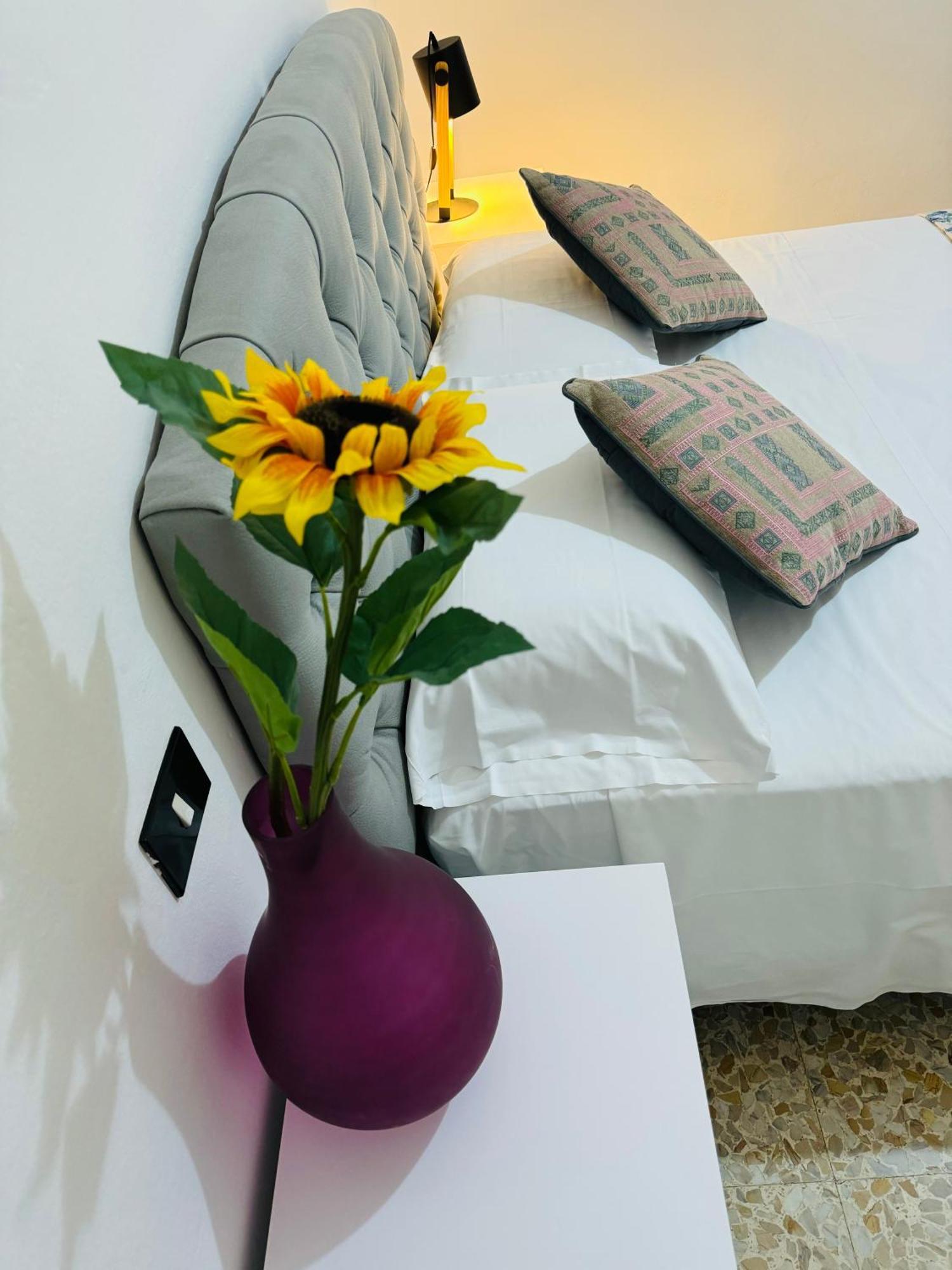 Hotel The Galaxy House Pisa Esterno foto